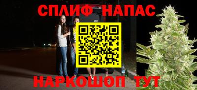 мдпв Пушкино