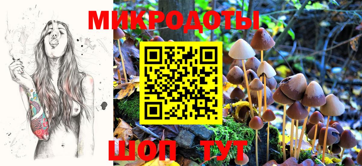Псилоцибиновые грибы прущие грибы Нягань